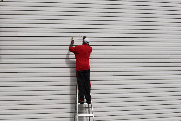 Best James Hardie Siding  in Chaffee, MO